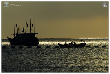 DSC_2860a