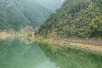 DSC_0287a