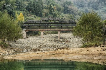 DSC_0313a