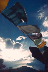 IMAG0229