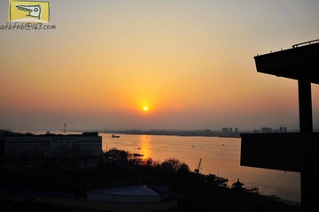 DSC_5132.jpg