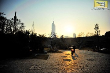 DSC_5206.jpg