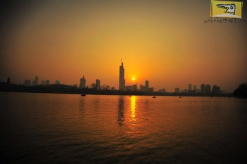 DSC_5223.jpg