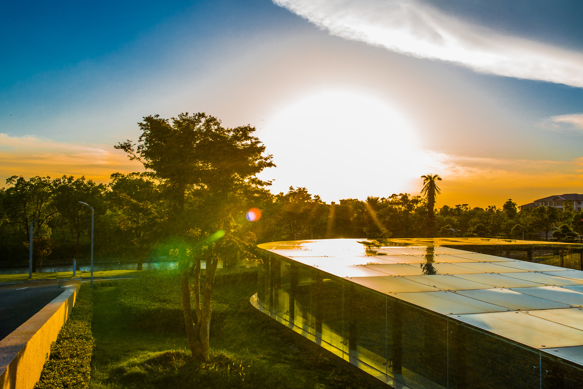 《黄昏》 - 自然, 植物, 色彩, 浙江, 佳能 - Asher