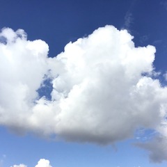 389553