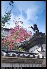 墙外等红杏