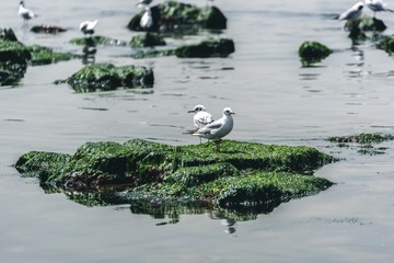 _DSC4127