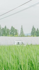 BEF899ED-5FC0-4022-9DE1-FD6D5AE7BEB0/L0/001