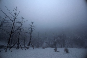 IMG_2833.JPG