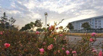 IMG_0550.JPG