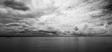 IMG_0980.jpg