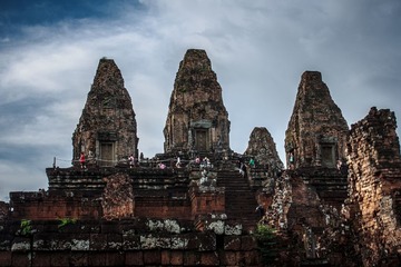 IMG_1223.jpg
