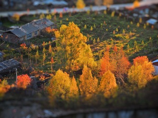 P1010047.jpg