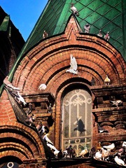 P1010287 - 版本 2.jpg