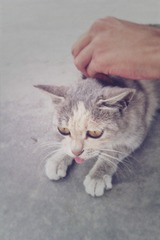 MediaLib_杂货铺_IMAG0157 (2)