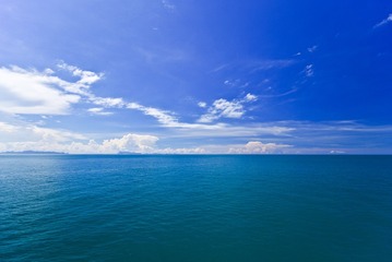 64323