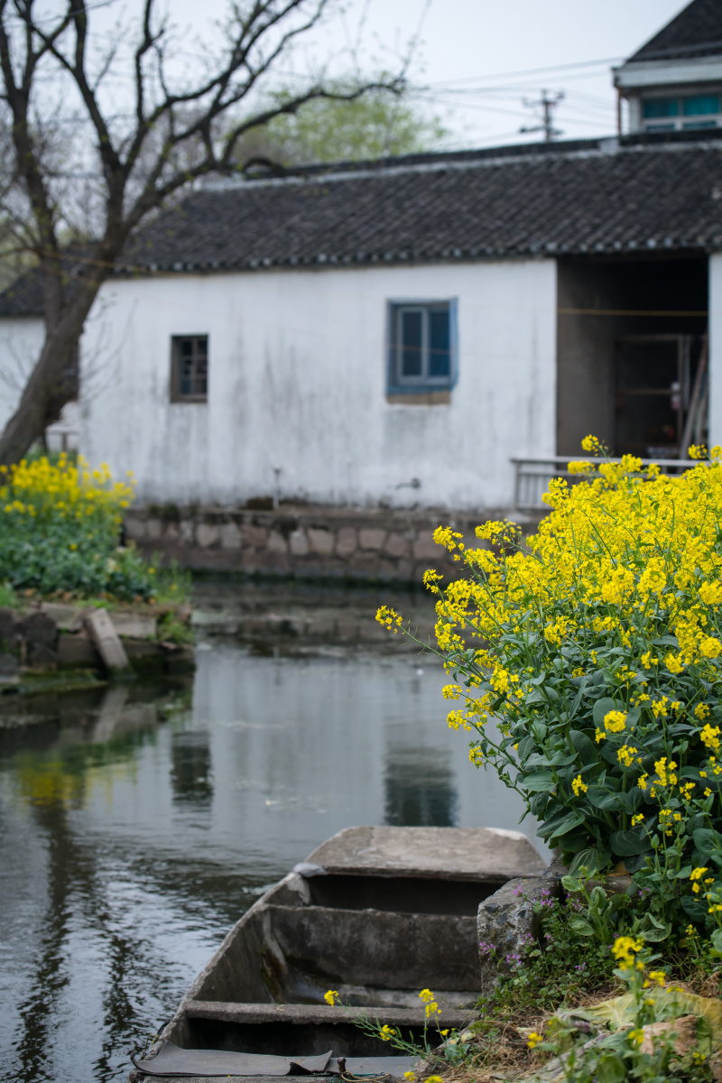 水乡春色