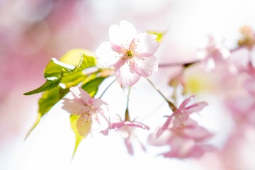 1040409