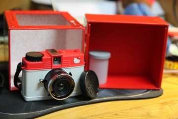 lomo