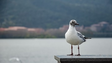 16901