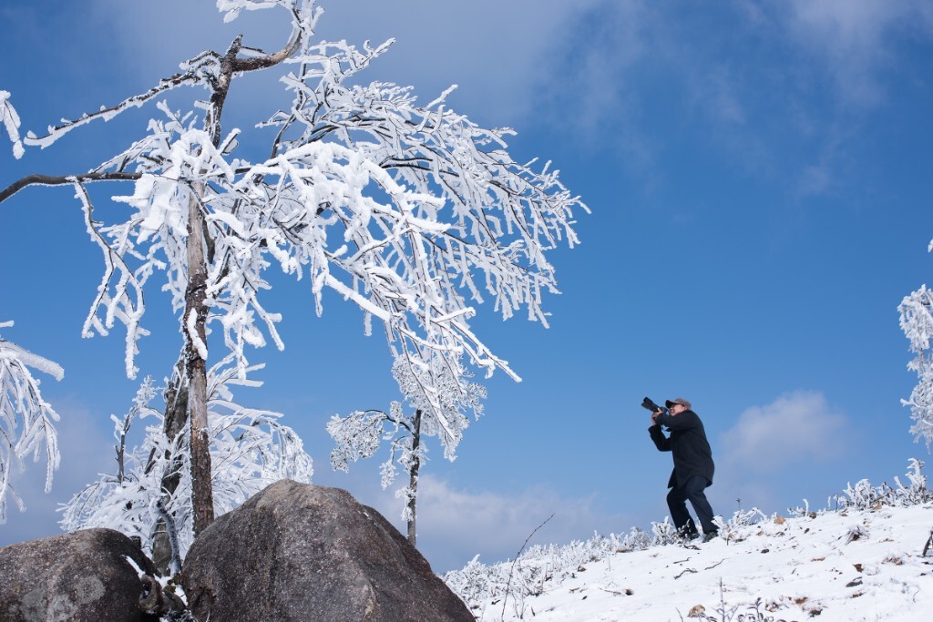 一场意外所得的雪景，却没想到是今年的唯一一场雪景，一直等待下半年的雪却始终未能等到。