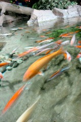 不息