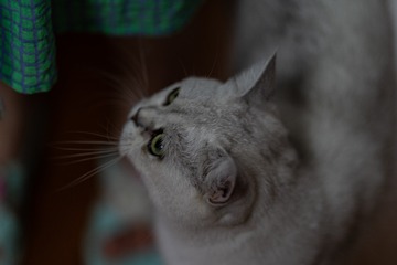 1225250