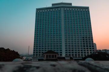 白天鹅