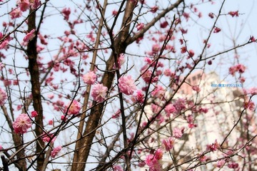 IMG_8715.jpg
