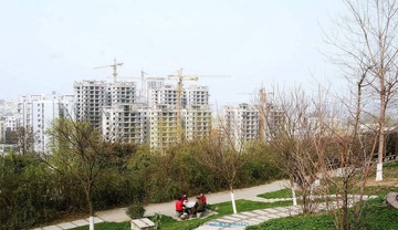 IMG_8756-1.jpg