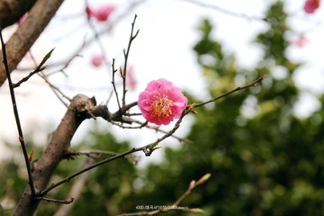 IMG_8822.jpg