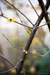 20160125-IMG_3700