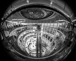 “_DSC0705”满眼金碧BW