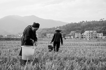 _DSC6671