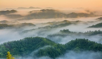 _DSC7924