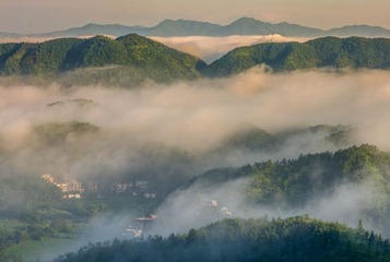 _DSC7975