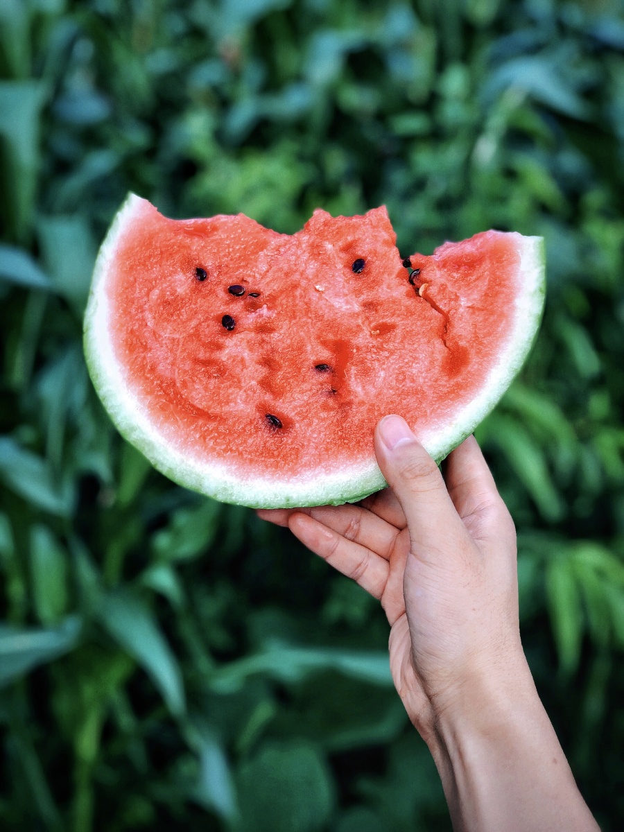 夏天必备西瓜