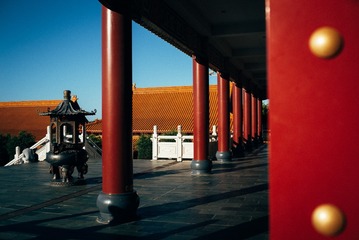 _DSC0337