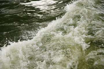 _DSC0900