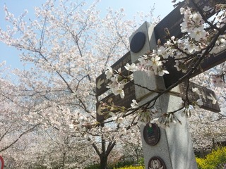 20150325_122035