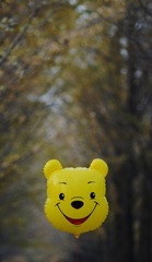 DSC_0135.3.jpg