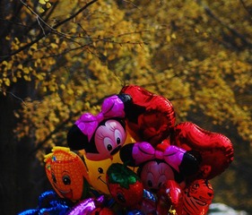 DSC_0089.2.jpg
