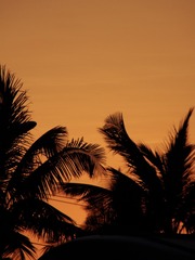 836148FC-9AF4-4058-803A-3B6C97478FF7/L0/001