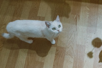 DSC08072