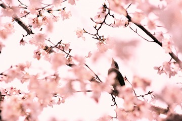 CSC_0305