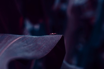 1507987