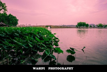 IMG_6179.jpg