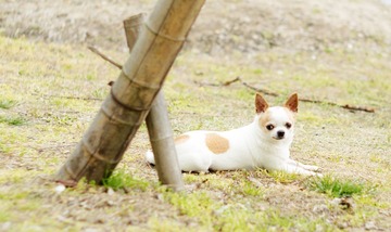 nEO_IMG_IMG_0109.jpg