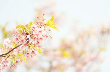 nEO_IMG_IMG_9921.jpg