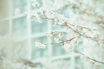 nEO_IMG_IMG_0160.jpg
